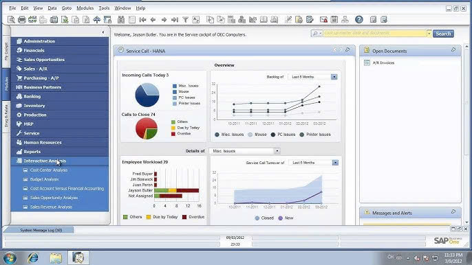 SAP Business One Analytics powered by SAP HANA