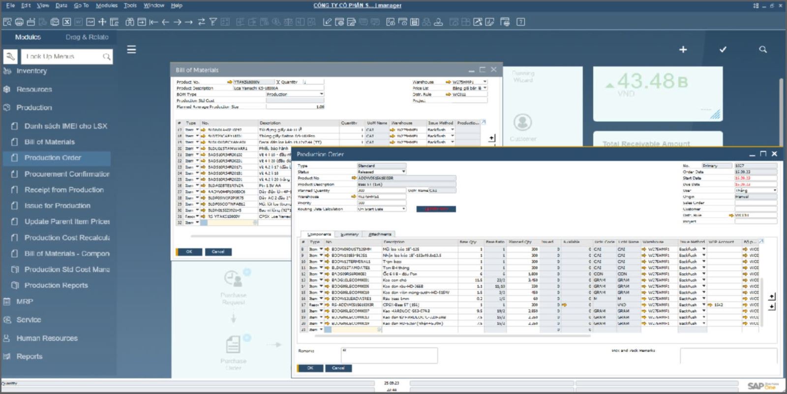 Efficient Financial Accounting with SAP Business One